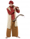 Snake Charmer Adult Costume