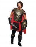 Adult King Of Swords Medieval Costume