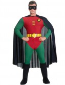 Batman DC Comics Robin Adult Costume