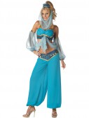 Harem's Jewel Elite Collection Adult Costume