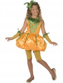 Precious Pumpkin Child Costume