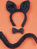 Instant Cat Accessory Kit (Adult)