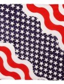 American Flag Printed Bandana