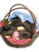 Basket with Wolf's Head