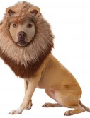 Animal Planet Lion Dog Costume