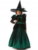 Wizard of Oz Pocket Deluxe Wicked Witch of the West Costume