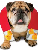 Chick Magnet Pet Costume
