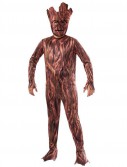 Guardians of the Galaxy Groot Kids Costume