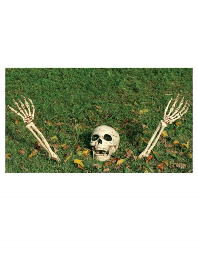 3 Piece Buried Alive Skeleton Kit