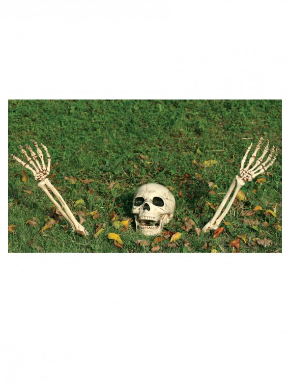 3 Piece Buried Alive Skeleton Kit