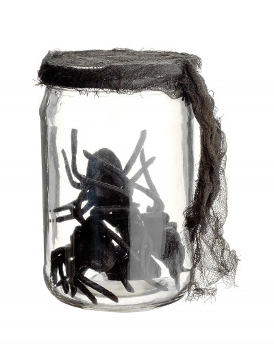 5.5 Inch Glass Jar w/spiders