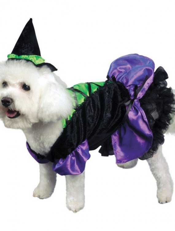 Magic Spell Dog Costume