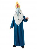 Adventure Time - Ice King Teen Costume