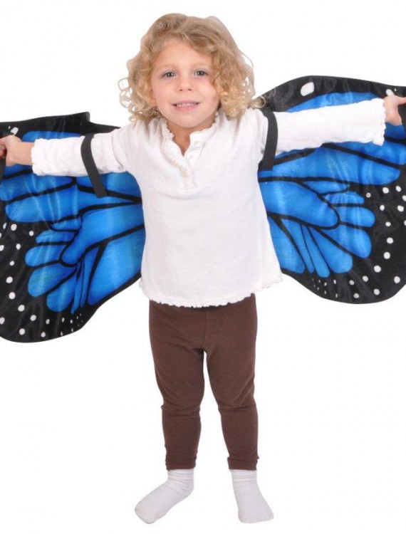 Blue Butterfly Wings