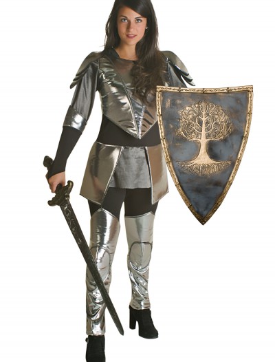 Adult Princess Warrior Costume