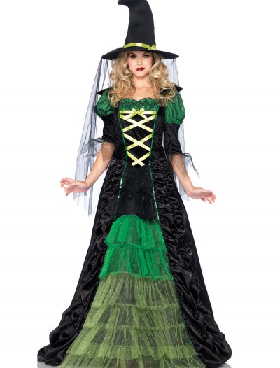 Adult Storybook Witch Costume