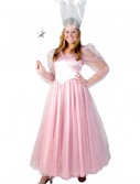 Deluxe Pink Witch Costume