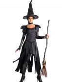 Deluxe Adult Wicked Witch of the West Costume