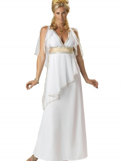 Divine Greek Goddess Costume