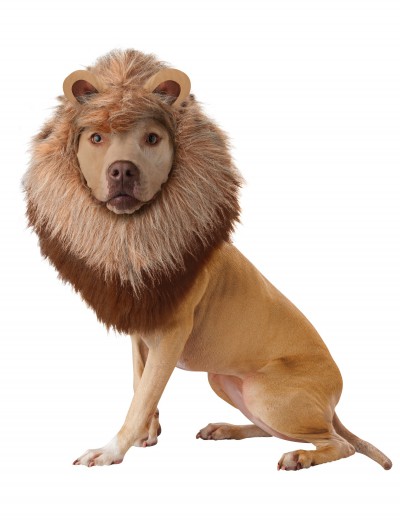 Lion Pet Costume