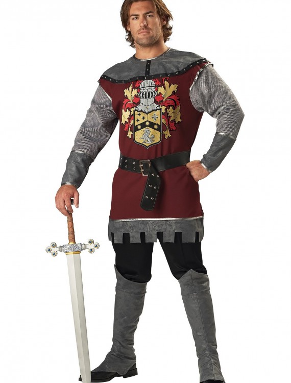 Noble Knight Costume