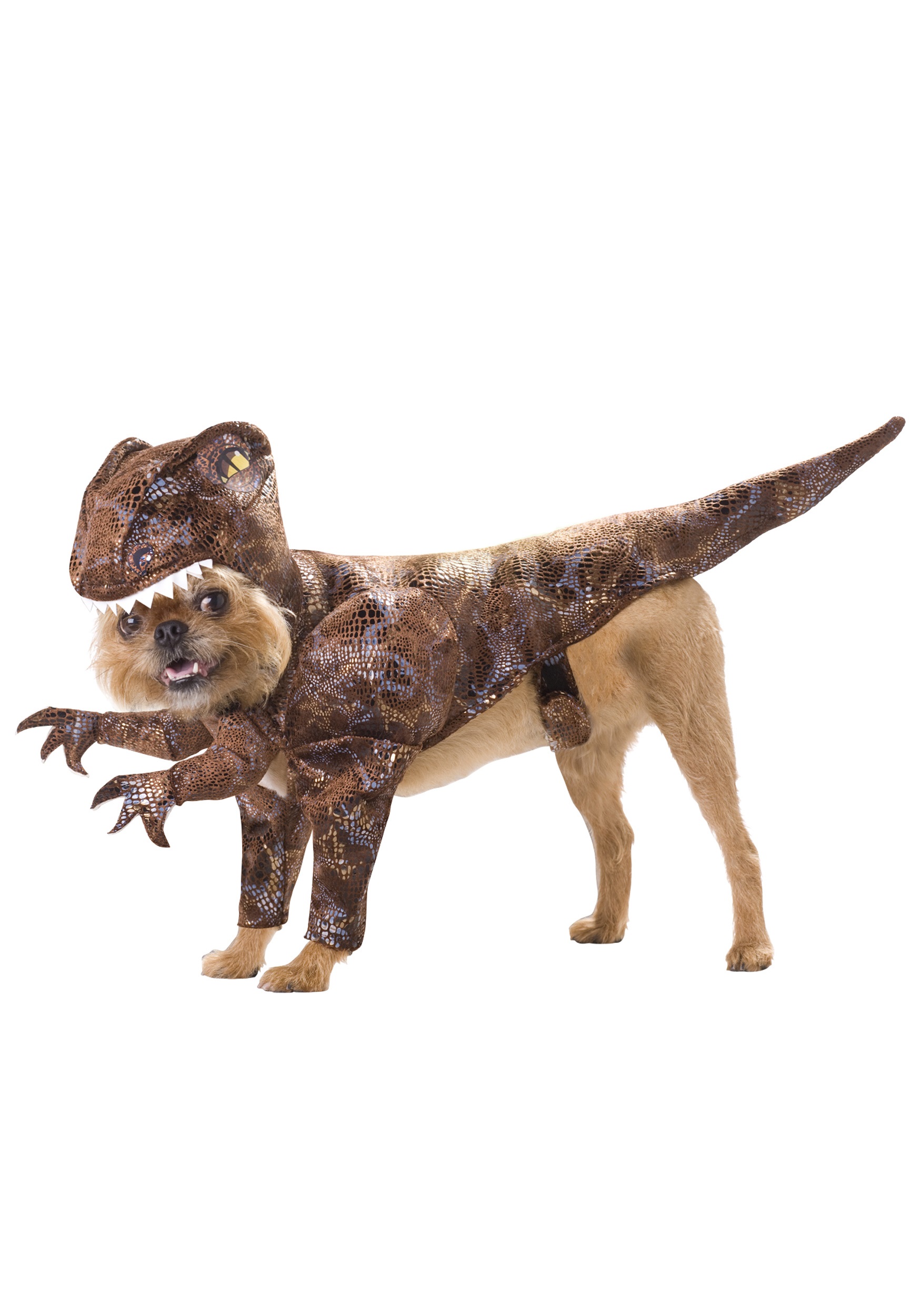 Pet Raptor Costume