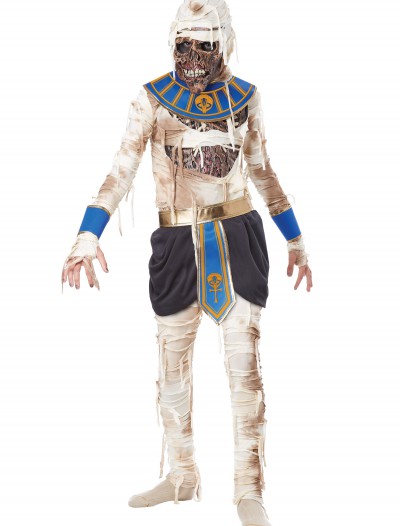 Child's Pharaoh's Revenge Costume