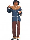 Plus Size Scarecrow Costume