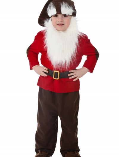 Toddler Dwarf Costume