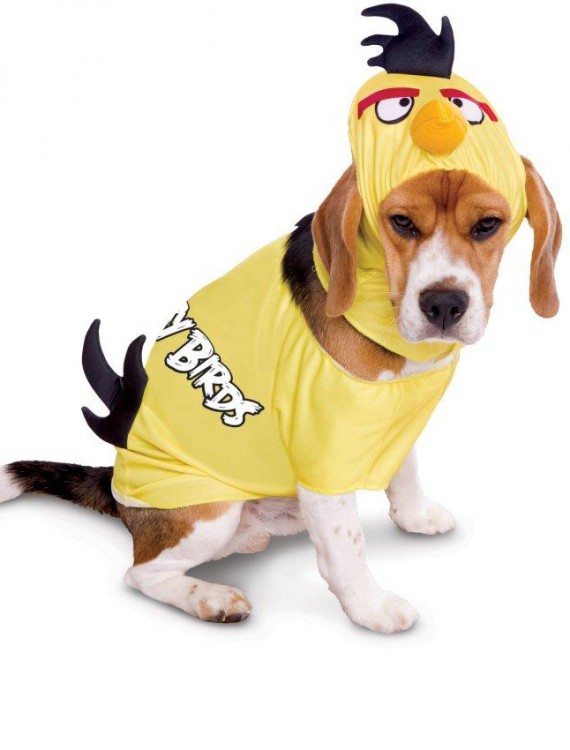 Rovio Angry Birds Yellow Bird Pet Costume