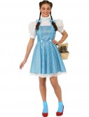 Wizard Of Oz Dorothy Adult Costume