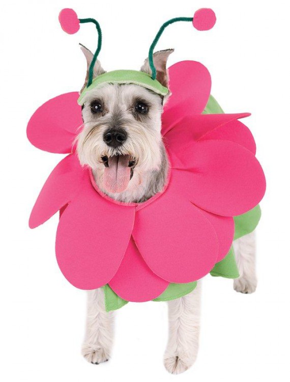 Bloomin' Snout Pet Costume