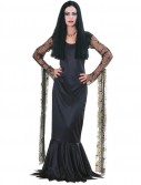The Addams Family Morticia Adult Costume