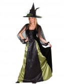 Goth Maiden Witch Adult Costume