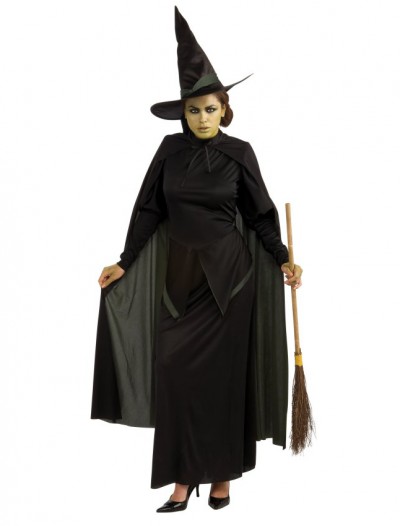 The Wizard of Oz Wicked Witch Adult Costume