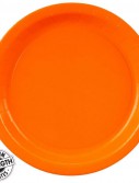 Sunkissed Orange (Orange) Dinner Plates (24 count)