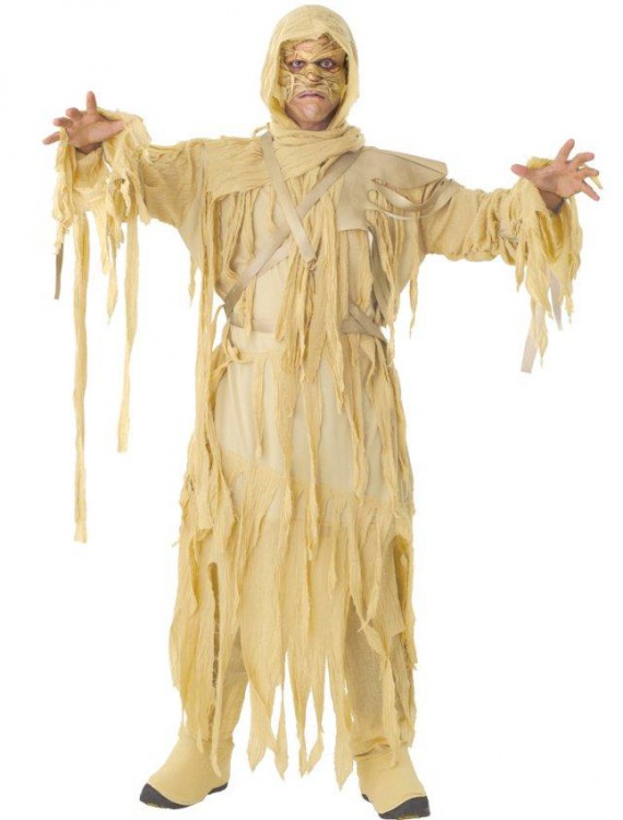 Mummy King Adult Costume