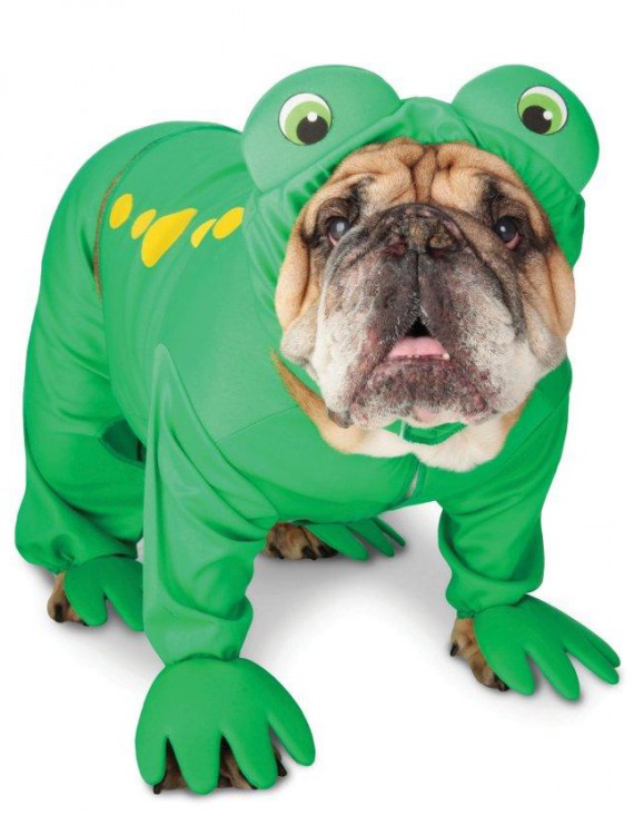 Zelda Frog Prince Pet Costume