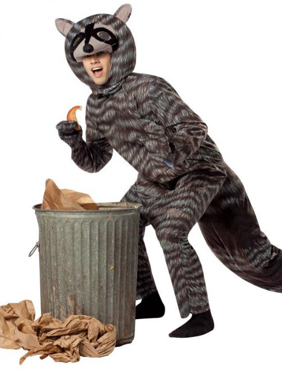 Raccoon Adult Costume