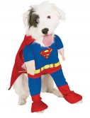 Superman Deluxe Dog Costume