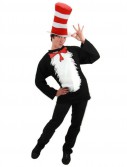 Dr. Seuss Cat In The Hat Adult Costume