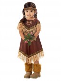Lil' Indian Princess Toddler / Child Costume