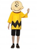 Peanuts Charlie Brown Child Costume