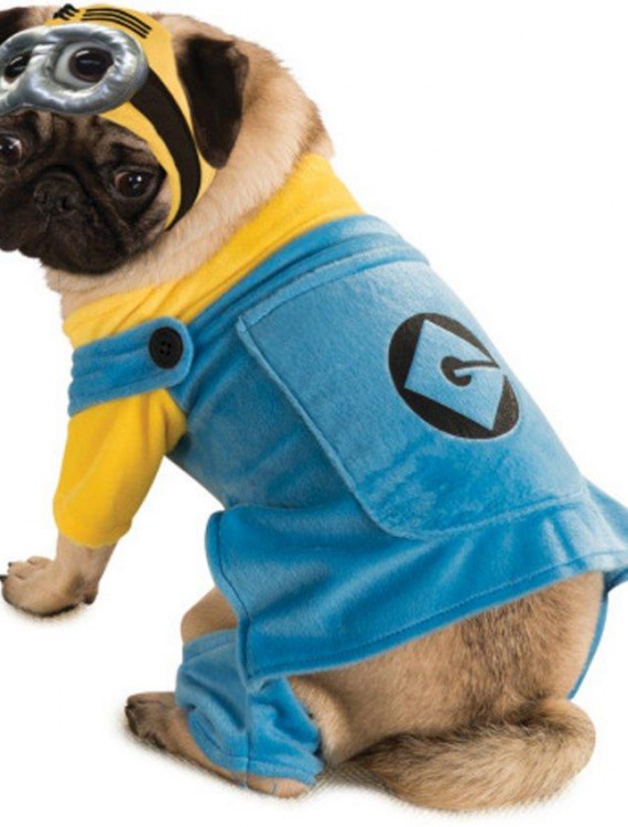 Despicable Me Dog Costume