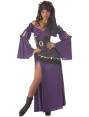 Mystic Seductress Adult Costume