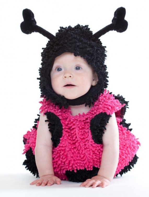 Baby Lady Bug Infant / Toddler Costume