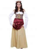 Fair Maiden Womens Dress Costume
